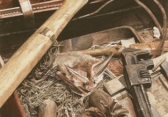 Tool Shet with Pipistrelle Bar