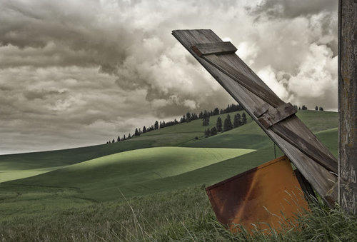 Palouse Landscape