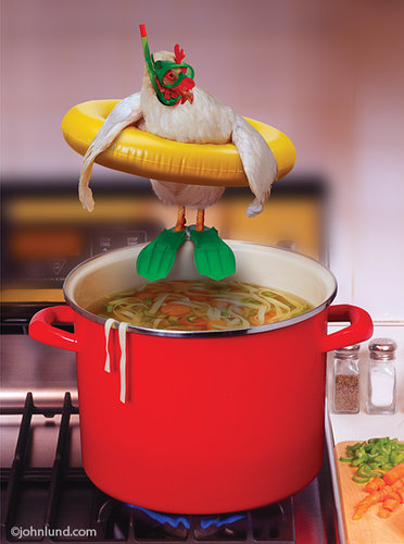 Chicken Soup humorous photography by John Lund