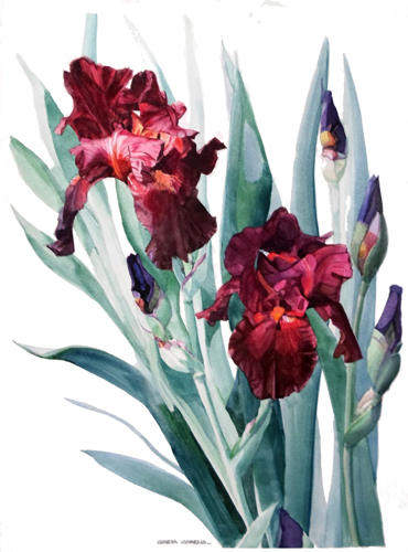 Iris Donatello