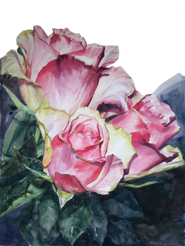 Rose Michelangelo