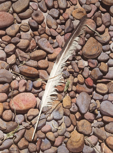 Featherstone