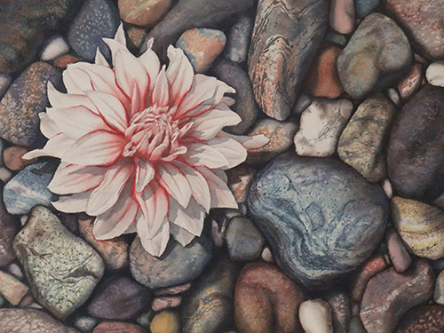 A Dahlia Down