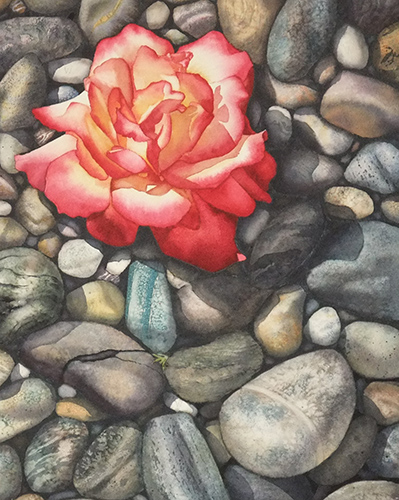 Rose of the Rocks