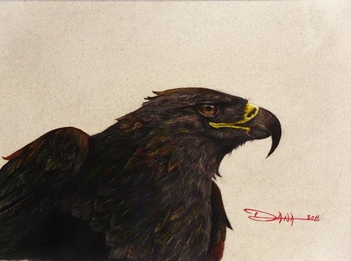 Golden Eagle