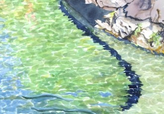 Pedernales River