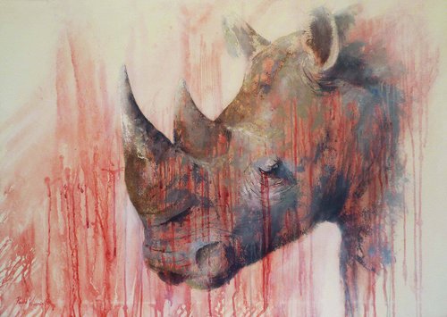 Tear of the Rhino