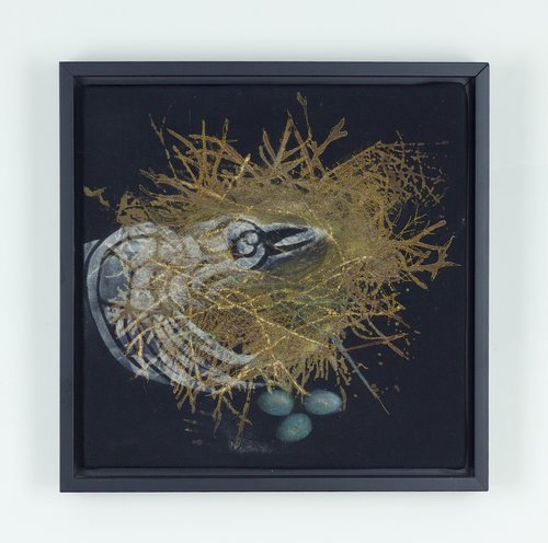 Nest - Completion
