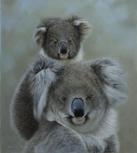 Koala and Joey