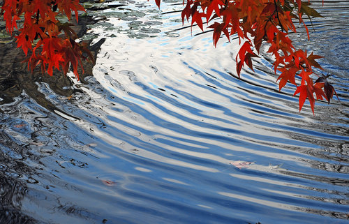 Ripples on Pond