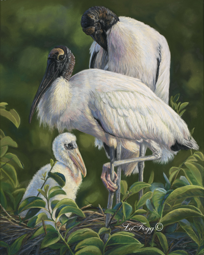 Woodstorks