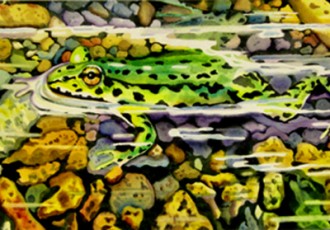 Frog