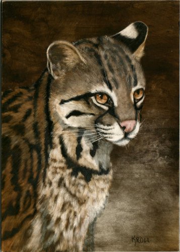 "Ocelot" scratchboard, 7" x 5"