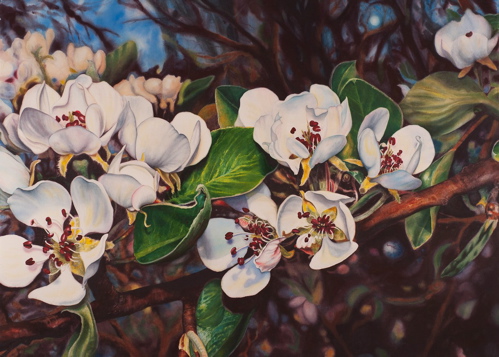 Morning Moon-Pear Blossoms