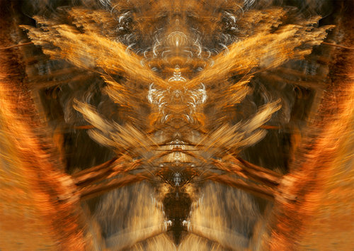 Photo by Marc Jaffe