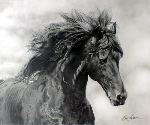 “Midnight Thunder”, Graphite Pencil Drawing, 16” x 12”