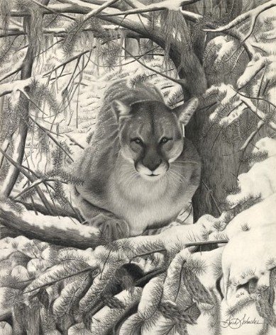 “Mountain Lion Hideout”, Graphite Pencil Drawing, 14” x 17”