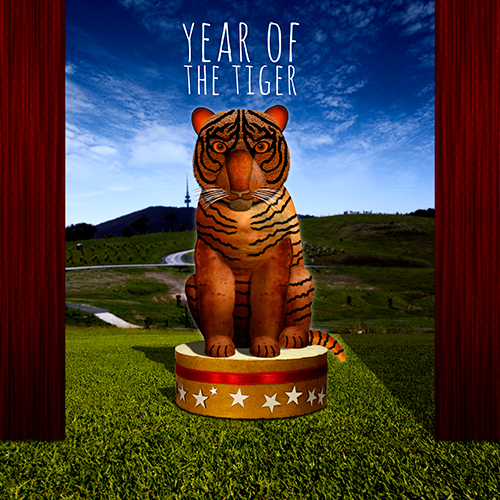 Year of the Tiger