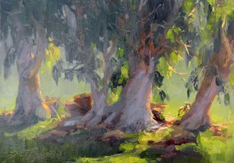 Eucalyptus