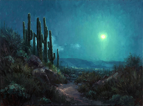 Sonoran Moonlight