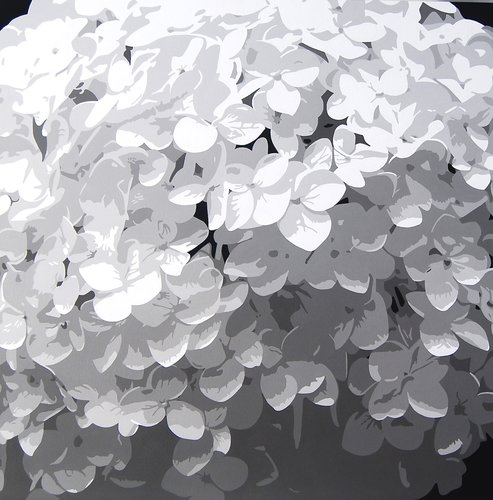Annabelle Hydrangea