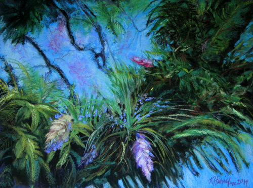 Bromeliad Jungle
