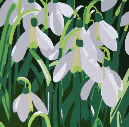 Galanthus