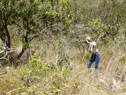 Kitty Harvill In the Field