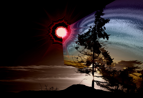 Sechelt Tree, Stardust