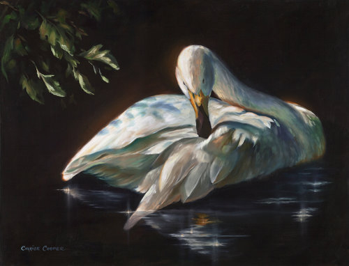 Leda's Swan