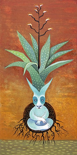 Agave Rabbit