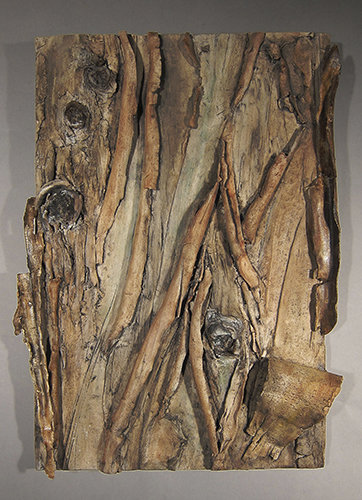 Bark Landscape--Eucalyptus