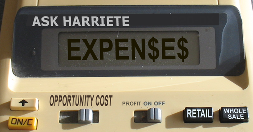 What are the Expenses in your art business?