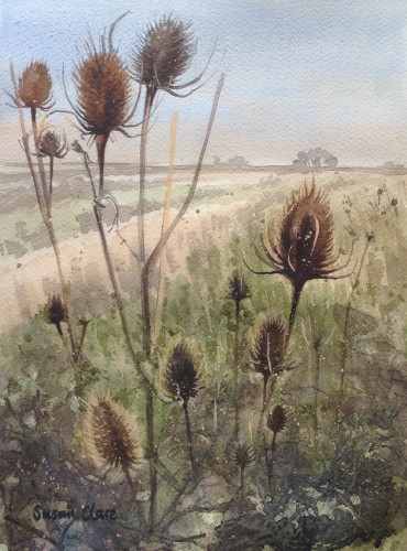 "Teasels 1" Watercolor and Ink on Paper, 12” x 9” by artist Susan Clare. See her portfolio by visiting www.ArtsyShark.com