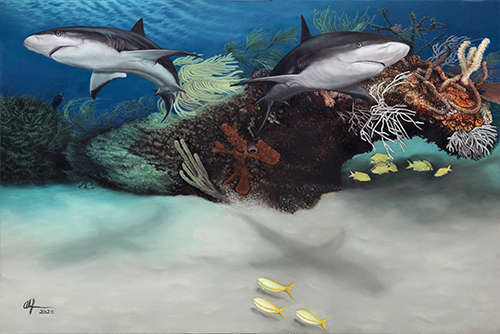 "Caribbean Reef Sharks" Oil on Canvas, 40" x 60" by artist Alan Feldmesser. See his portfolio by visiting www.ArtsyShark.com