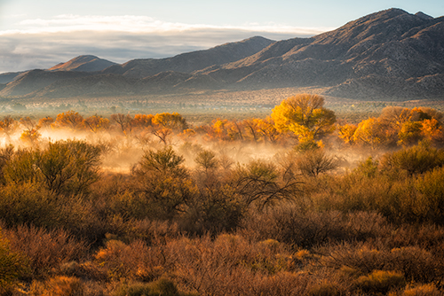 "Desert Morning" Photograph, Various Sizes by photographer Jennifer Magallon. See her portfolio by visiting www.ArtsyShark.com