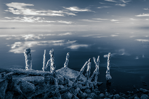 "Salton Sea" Photograph, Various Sizes by photographer Jennifer Magallon. See her portfolio by visiting www.ArtsyShark.com