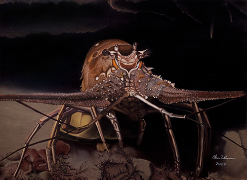 "Spiny Lobster" Oil on Canvas, 30" x 40" by artist Alan Feldmesser. See his portfolio by visiting www.ArtsyShark.com