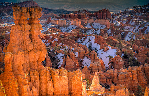 "Morning at Bryce" Photograph, Various Sizes by photographer Jennifer Magallon. See her portfolio by visiting www.ArtsyShark.com