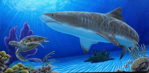 "Tiger Shark" Acrylic, 12" x 24" by artist Ryan Sobel. See his portfolio by visiting www.ArtsyShark.com