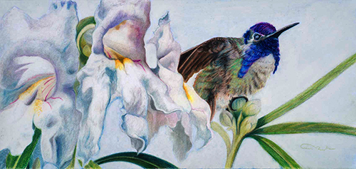 Artwork by Allison Richter, who is included in the article Art and the World of Nature. See it at www.ArtsyShark.com.