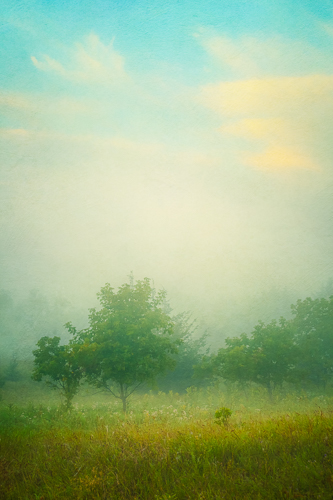 “Dawn Mist” Photo-based Digital Art, Various Sizes by artist Laura Berman. See her portfolio by visiting www.ArtsyShark.com