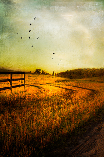 “Heading-Home” Photo-based Digital Art, Various Sizes by artist Laura Berman. See her portfolio by visiting www.ArtsyShark.com