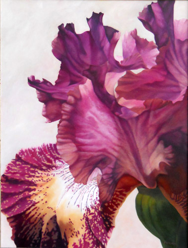“Iris” Oil, 40” x 30” by artist Theresa Otteson. See her portfolio by visiting www.ArtsyShark.com