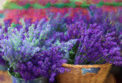 “Lavender” Photo-based Digital Art, Various Sizes by artist Laura Berman. See her portfolio by visiting www.ArtsyShark.com