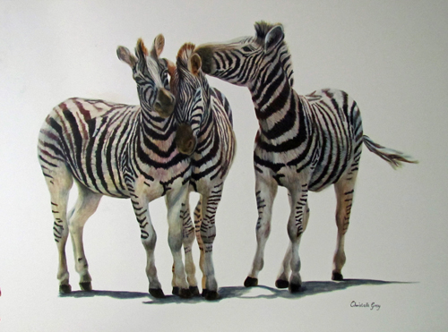 “Playful Friends” Watercolour, 55cm x 72cm by artist Christelle Grey. See her portfolio by visiting www.ArtsyShark.com