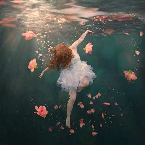 “Rosewater” Photograph, 20” x 20” by photographer Hayley Roberts. See her portfolio by visiting www.ArtsyShark.com