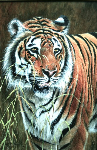 “Stealth Approach, Bengal Tiger” Acrylic, 36" x 24" by artist David L. Prescott. See his portfolio by visiting www.ArtsyShark.com