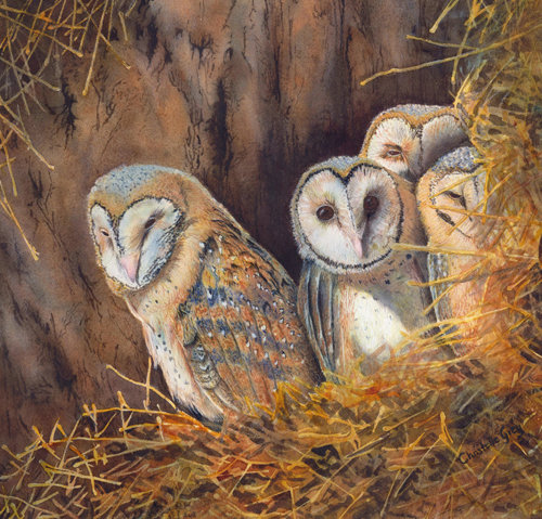 “Curiosity” Watercolour, 38cm x 39cm by artist Christelle Grey. See her portfolio by visiting www.ArtsyShark.com