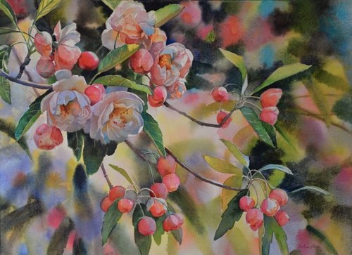 “Apple Blossoms” Watercolour, 520mm x 720mm by artist Svetlana Orinko. See her portfolio by visiting www.ArtsyShark.com